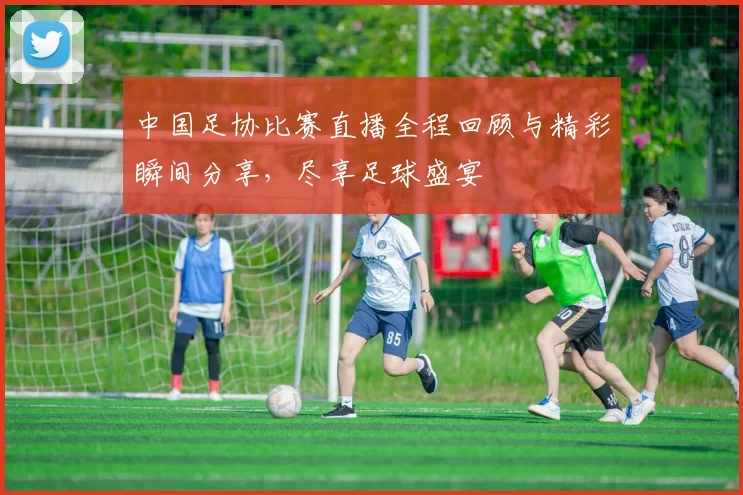 中国足协比赛直播全程回顾与精彩瞬间分享，尽享足球盛宴