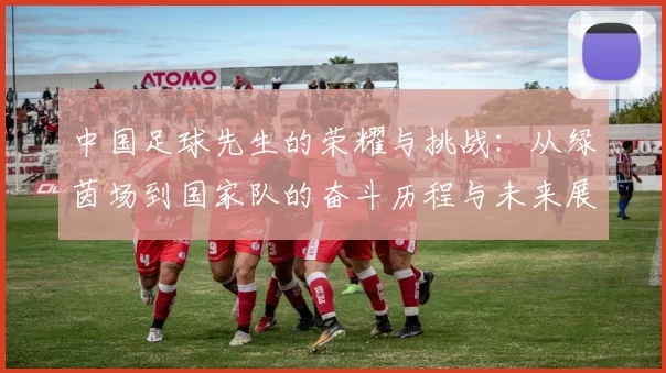 中国足球先生的荣耀与挑战：从绿茵场到国家队的奋斗历程与未来展望